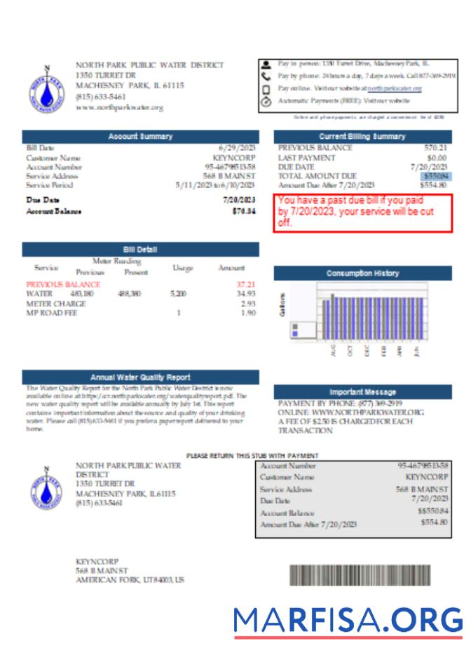Blank Illinois North Park Public Water District IL utility business bill, SCR template